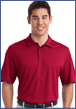 embroidered golf shirt